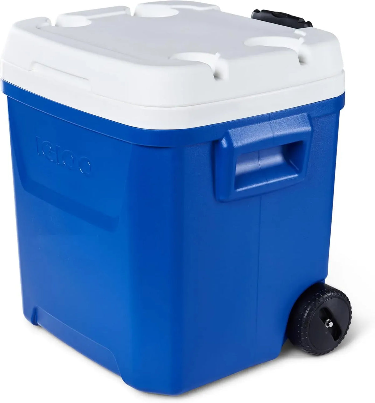 Frigorifero Portatile Igloo Mini